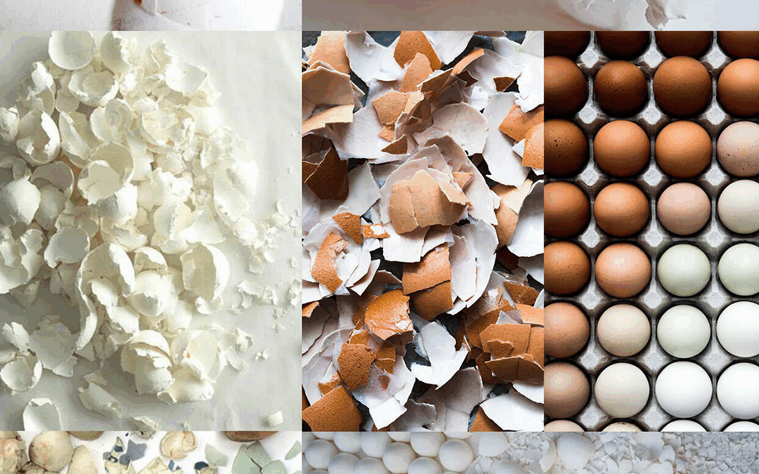 Eggshell Parenting: How Unpredictable Parents Create Hypervigilant Adults