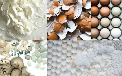 Eggshell Parenting: How Unpredictable Parents Create Hypervigilant Adults