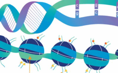 Epigenetics: How Environment and Lifestyle Shape Brain Health and Behavior