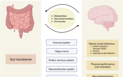 Can Gluten Cause Brain Fog? The Inflammation-Depression Link