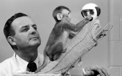Harry Harlow: The Science of Attachment