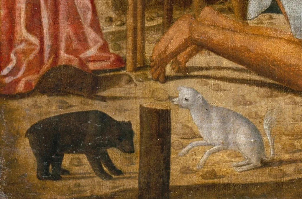 “The Anima and Animus Test: Discover Your Inner Opposite in 10 Questions”