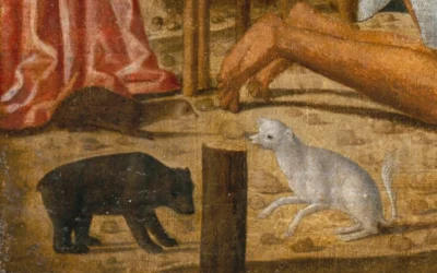 “The Anima and Animus Test: Discover Your Inner Opposite in 10 Questions”
