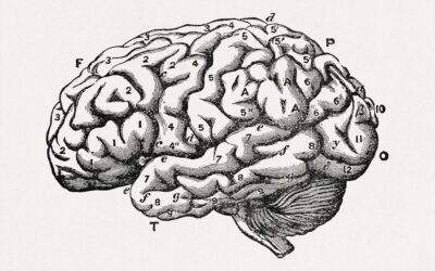 The Brain-Body Connection: How Somatic Experiencing Works