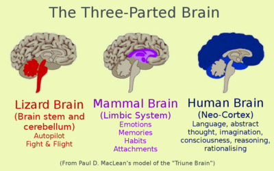 Paul MacLean’s Triune Brain: Evolutionary Layers of the Human Psyche