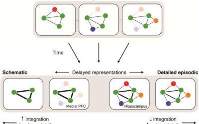 Memory Reconsolidation: The Hidden Mechanism Behind Why Therapy Works