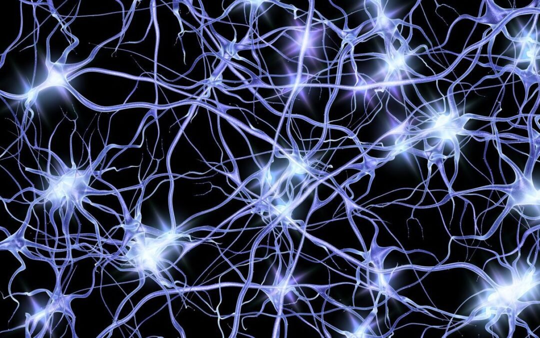 Rewiring the Brain: The Promise of Neuroplasticity in Brain-Based Medicine
