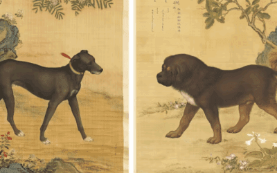 Coping with the Loss of a Beloved Pet