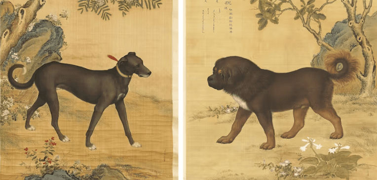 Coping with the Loss of a Beloved Pet