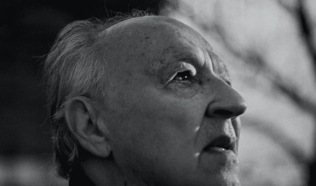 Werner Herzog on Psychotherapy: A Review of Into the Abyss by Werner Herzog