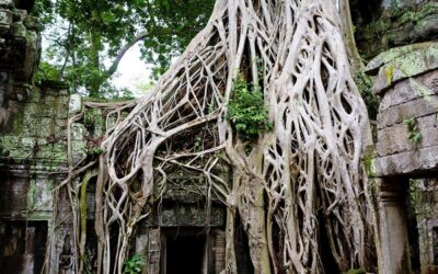 Paganism: Insights from Anthropology, Psychology, and Comparative Religion
