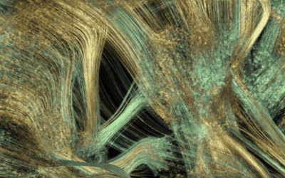 The Useful Mistakes of Fringe Psychology: What We Learn When Science Gets it “Wrong”