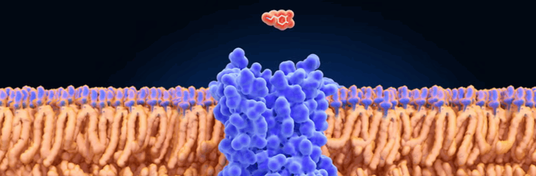 What is Dopamine Detox: Social Media Pseudoscience or Self Help?