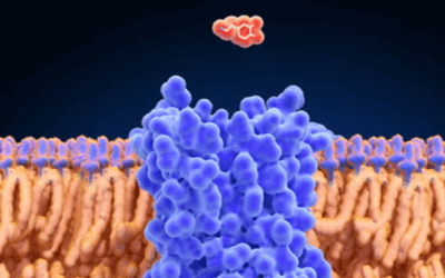 What is Dopamine Detox: Social Media Pseudoscience or Self Help?