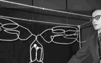 Who Is Gerald Edelman?