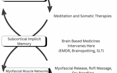 The Body-Brain Connection: Understanding Trauma and Brain-Based Medicine