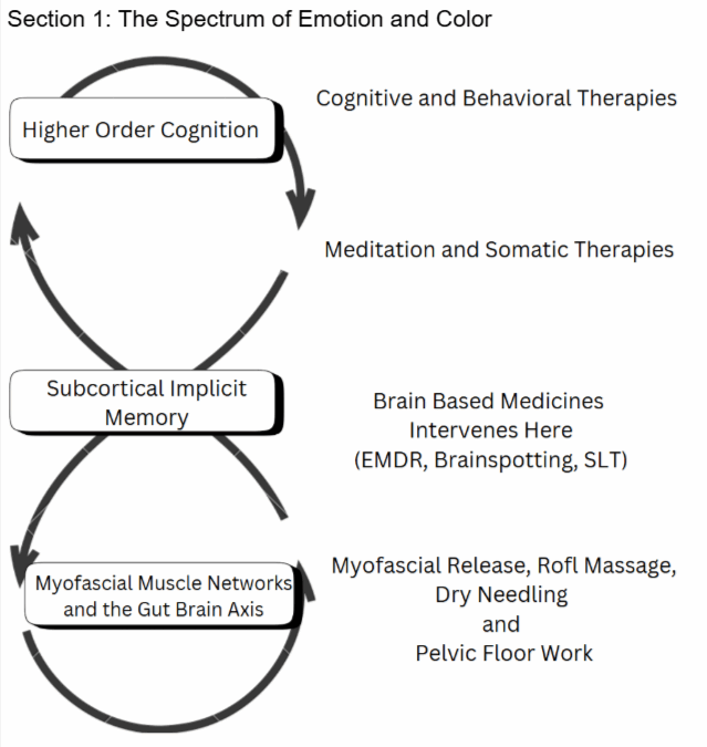 The Body-Brain Connection: Understanding Trauma and Brain-Based Medicine