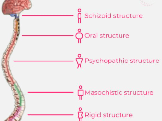 What are Wilhelm Reich’s Character Styles?