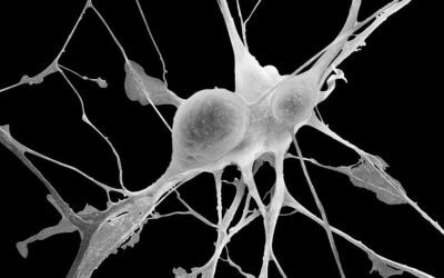 What Is Neurodivergent-Affirming Therapy? (And Why It’s Not About ‘Fixing’ You)