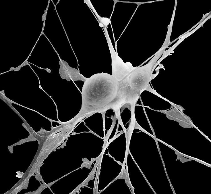 What Is Neurodivergent-Affirming Therapy? (And Why It’s Not About ‘Fixing’ You)