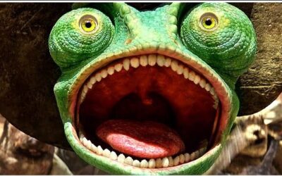 The Evolutionary Roots of PTSD: The Lizard Screaming in Your Brainstem