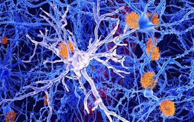 Microglia’s Potential Role in the Future of Mental Health, Trauma, and Addiction Treatment: Insights from Nakazawa and McGilchrist