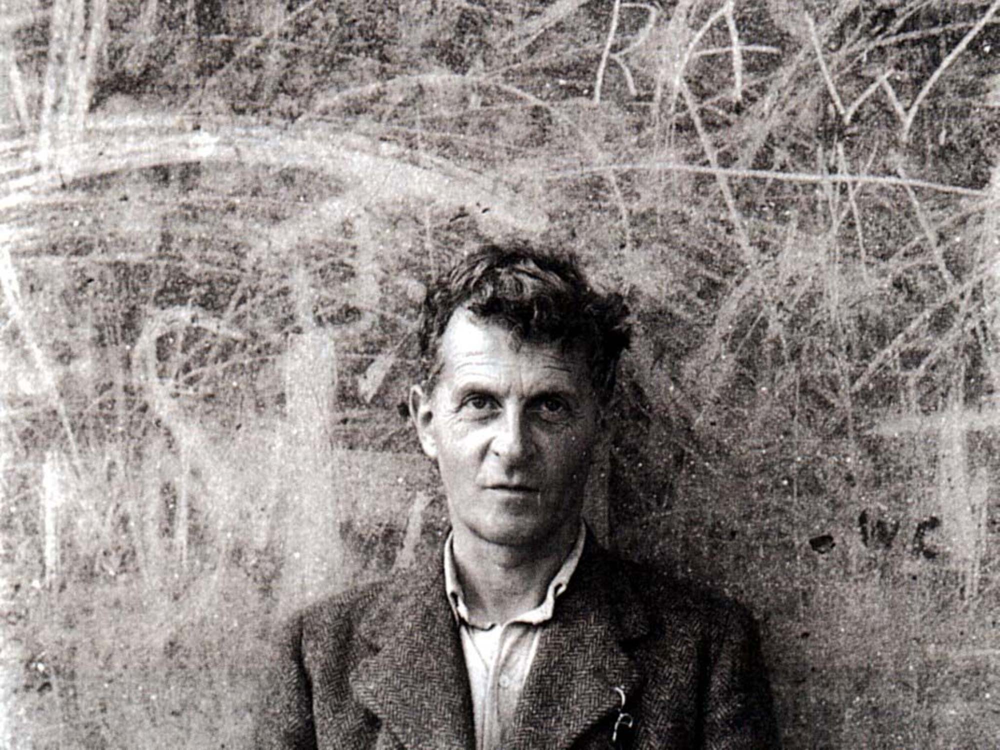 Insight and Illusion: Themes in the Philosophy of Wittgenstein by P. M. S. outlets Hacker